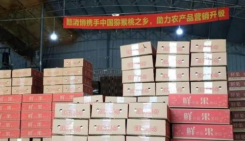 酷消銷(xiāo)再獲信任，金融中介服務(wù)將助力天水花牛蘋(píng)果營(yíng)銷(xiāo)新篇章